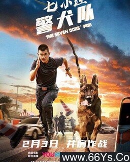 七小汪警犬队