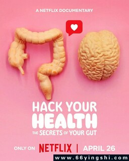 健康解密：肠道的奥秘